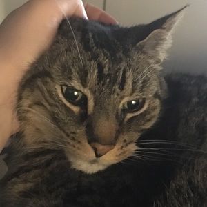 Meet your Posher, Vestie